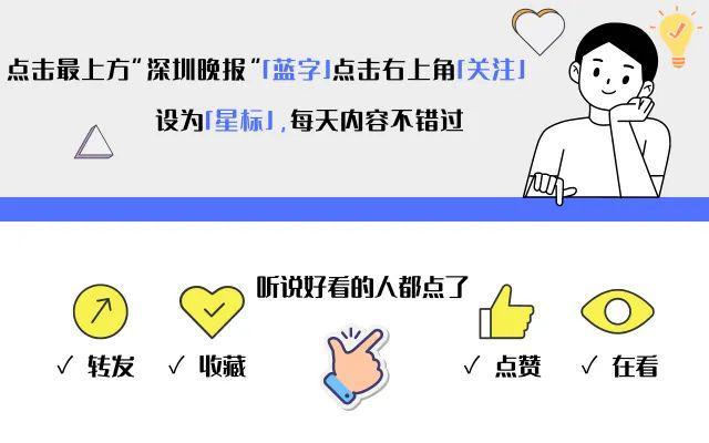 流浪狗到商店乞食 生下小狗托付老板流浪狗在商店的温馨故事，乞食、生育与托付的感人瞬间