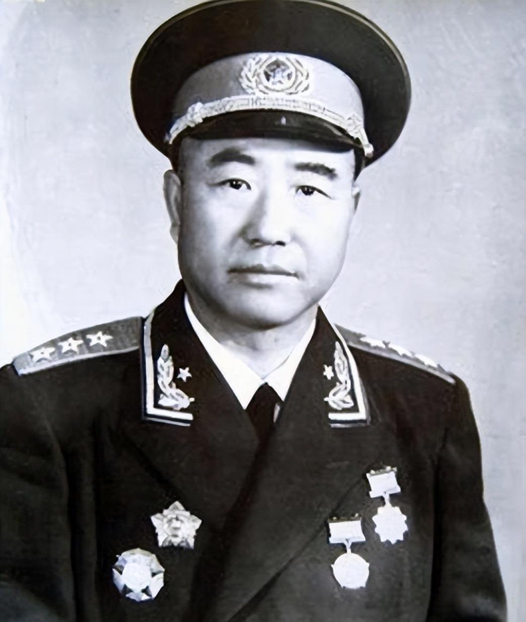 8万羽和平鸽是如何找到家的？和平鸽归巢，一场关于迁徙与家园的奇迹之旅