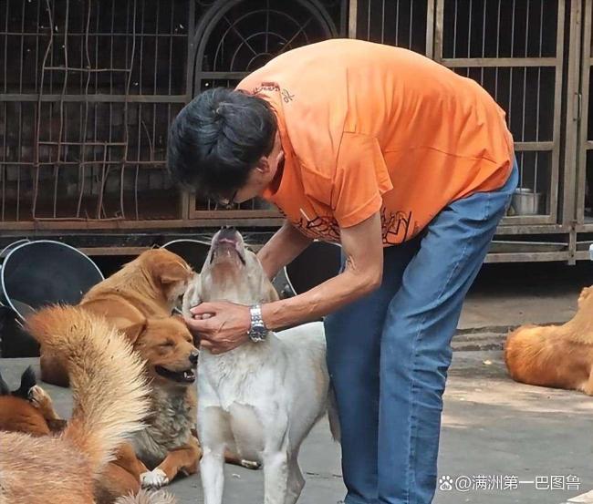 老人家中离世 狗狗不吃不喝守一星期